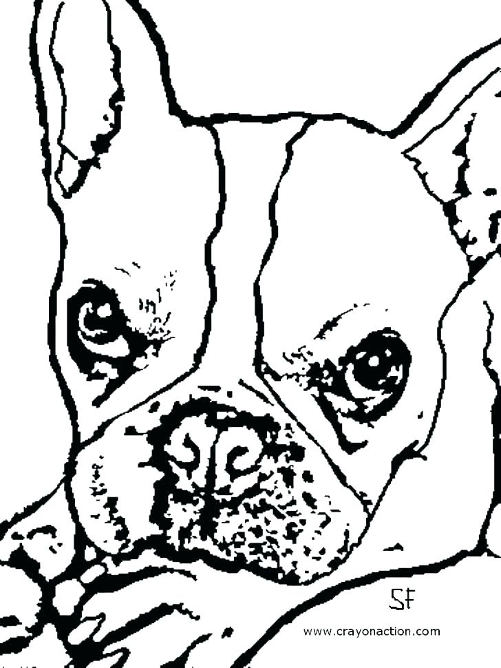 728x970 Georgia Bulldog Coloring Pages Georgia Bulldog Printable Coloring