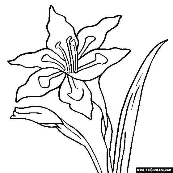 560x560 Georgia O Keeffe Coloring Pages Free Online Coloring Pages Georgia