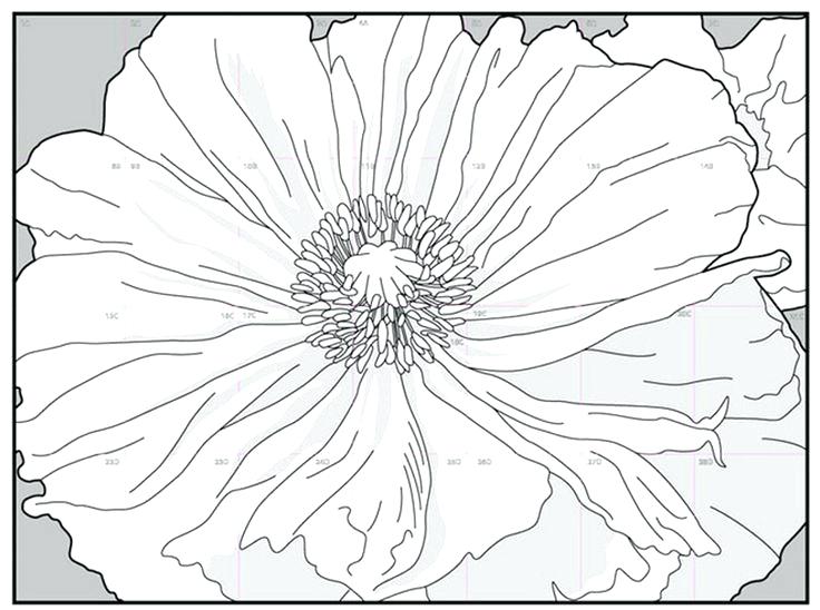 736x548 Georgia O Keeffe Coloring Pages O Skull Coloring Pages Coloring