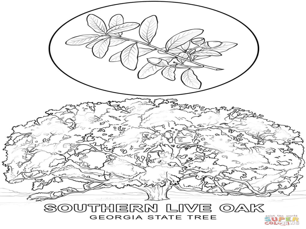 1280x960 Timely Georgia O Keeffe Coloring Pages Winning Preschool
