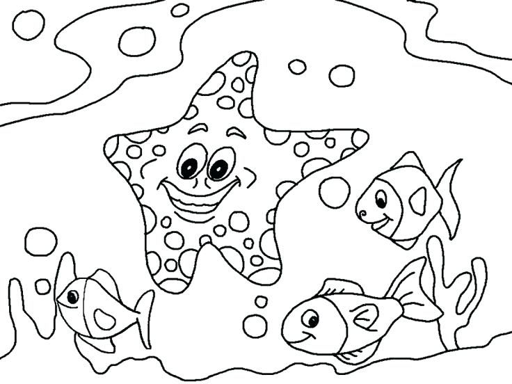 736x552 Georgia O Keeffe Coloring Pages Coloring Pictures Of Dinosaurs