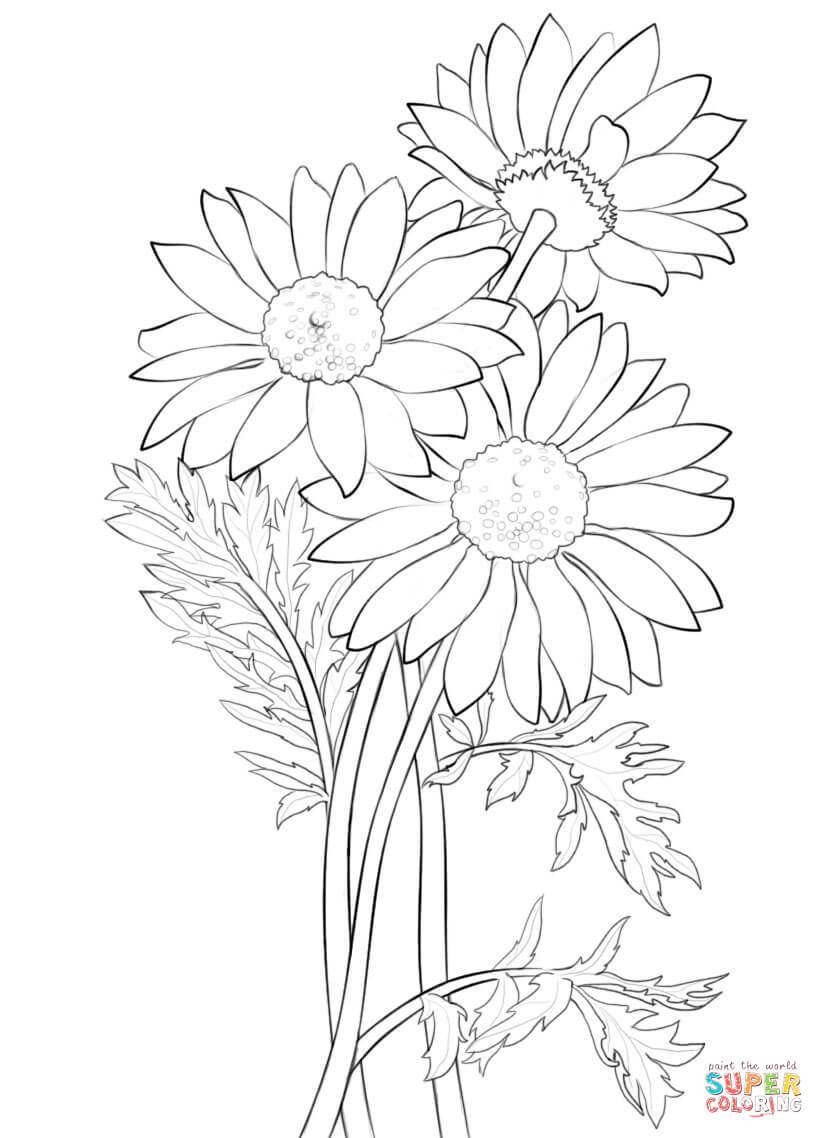 824x1138 Daisy Coloring Page Pages