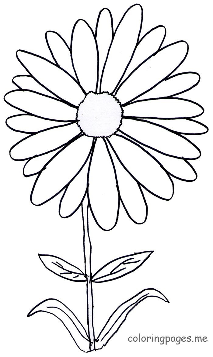 700x1169 Daisy Coloring Pages Page 1 0