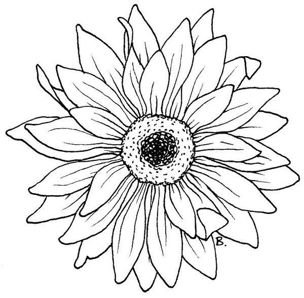600x589 400 Best Line Drawings (Flowers 1) Images On Drawings