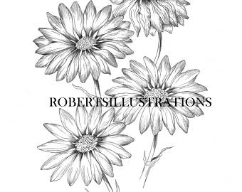 340x270 Daisy Coloring Page Etsy