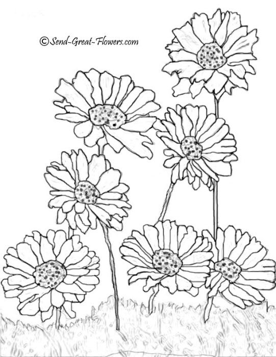 541x700 531 Best Flower Printables Images On Coloring Books