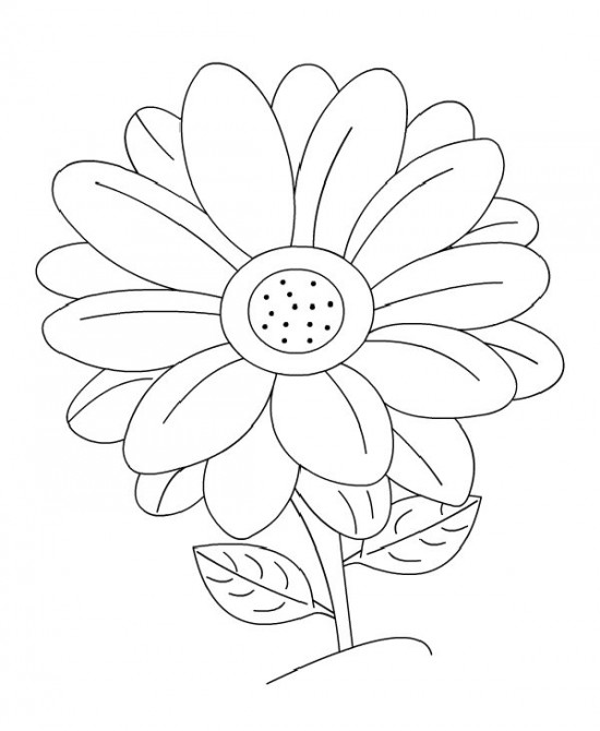 550x670 Awesome Gerber Daisy Coloring Pages Elaboration