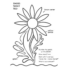 Gerbera Daisy Coloring Pages