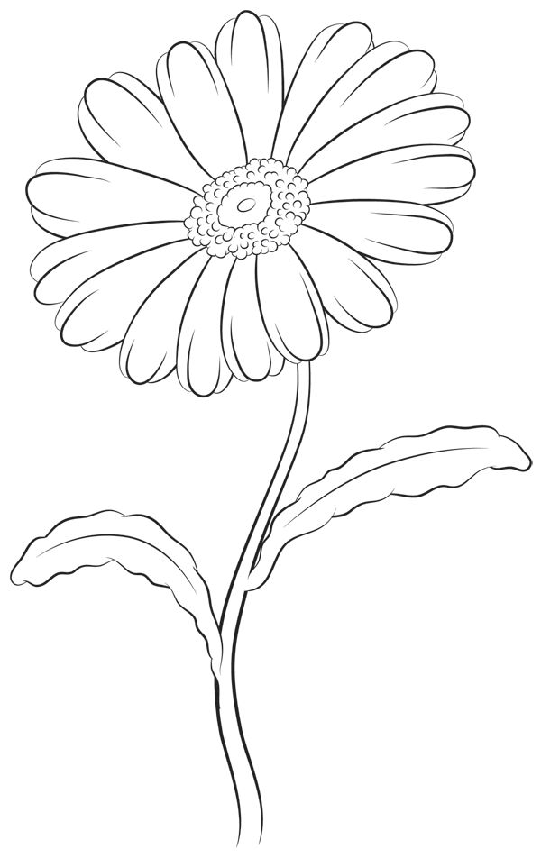 600x952 Find This Pin And More On Flower Stamps, Doodles Amp Drawings