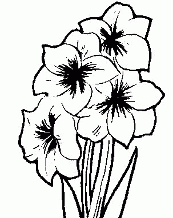 579x730 Free Coloring Picture Of Flower For Grown Ups Adult Coloring