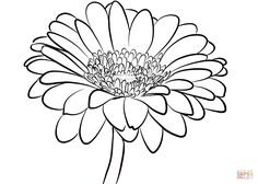 236x168 How To Draw Gerberas Step By Step 4 Ideas Drawings