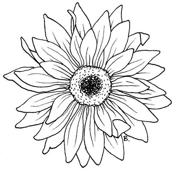 600x589 Beccy's Ort Sonnenblume Gerbera 578 32 Zeichnen Lernen