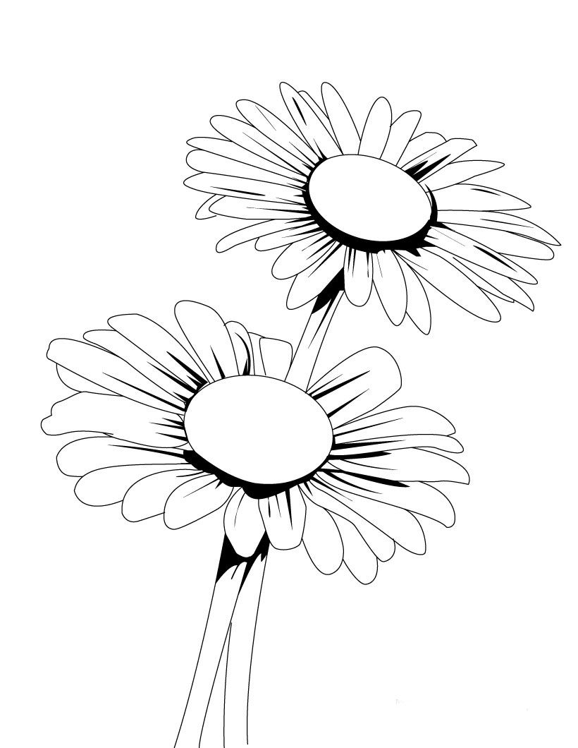 820x1060 Resultado De Imagen Para Dibujos De Flores De Margaritas Muchos