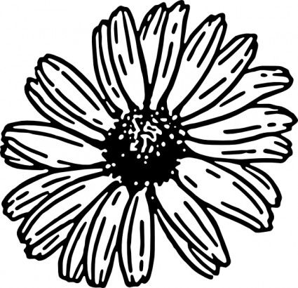 425x410 Daisy