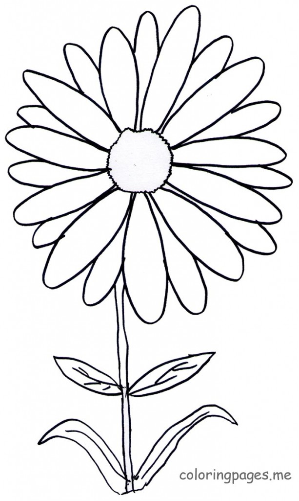 613x1024 Coloring Pages Daisy Intended For Decor 13