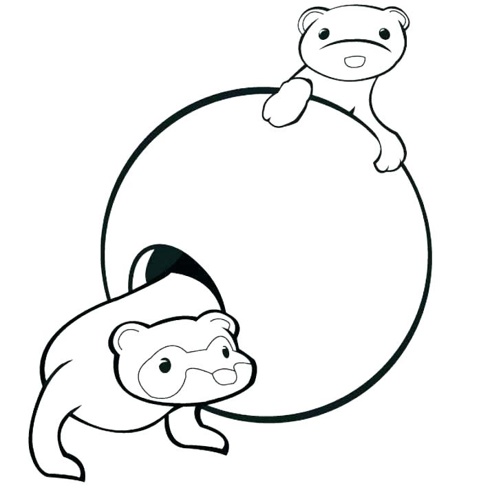 712x722 Ferret Coloring Pages Ferret Coloring Pages Ferret Coloring Pages