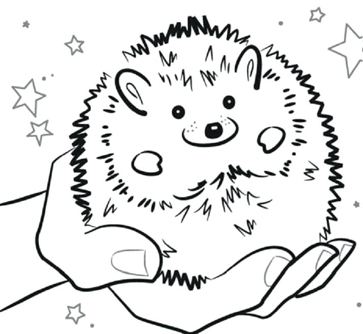 712x654 Gerbil Coloring Pages Gerbil Coloring And Printable Page Gerbil
