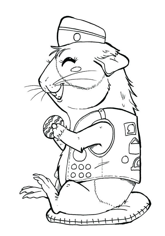 564x806 Gerbil Coloring Pages Hamster Coloring Page Cute Hamster Coloring