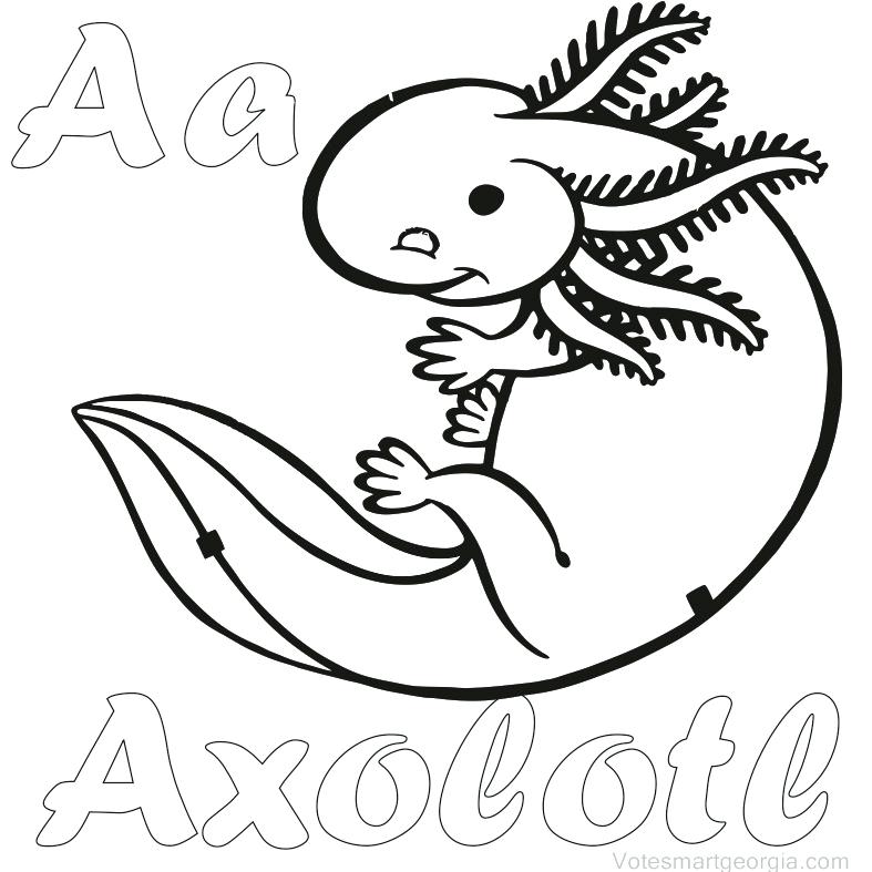 787x787 Gerbil Coloring Pages Kangaroo Coloring Page Free Kangaroo