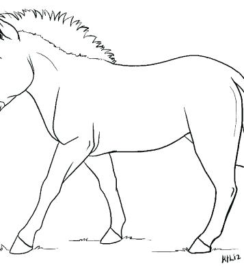 357x400 Gerbil Coloring Pages Zebra Without Stripes Coloring Page Gerbil