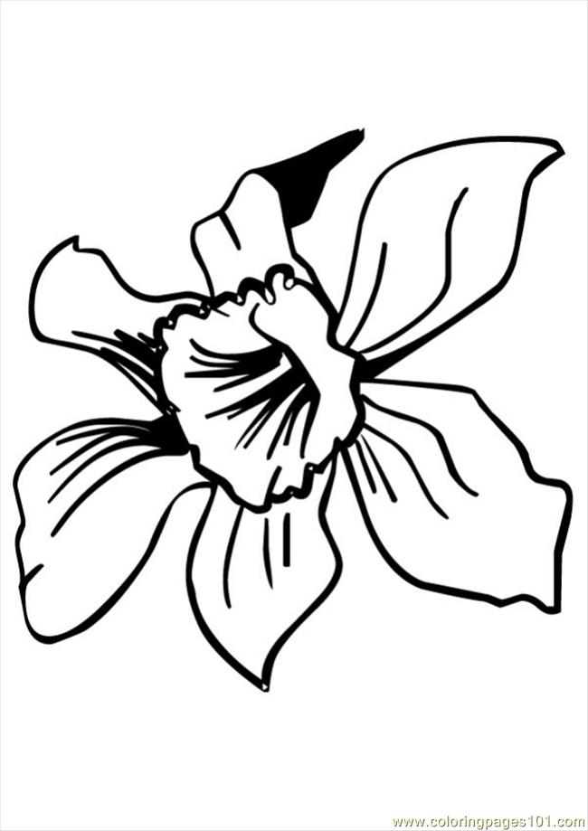 650x919 Guinea Pig Coloring Pages 445532