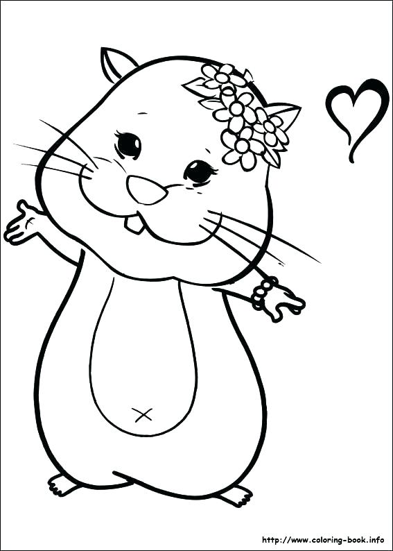 567x794 Hamster Coloring Pages Gerbil Coloring Pages Coloring Pages