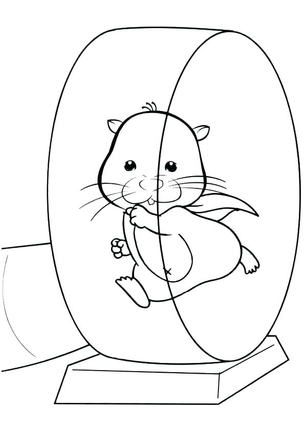 600x840 Hamster Coloring Pages Printable Gerbil Coloring Pages Gerbil