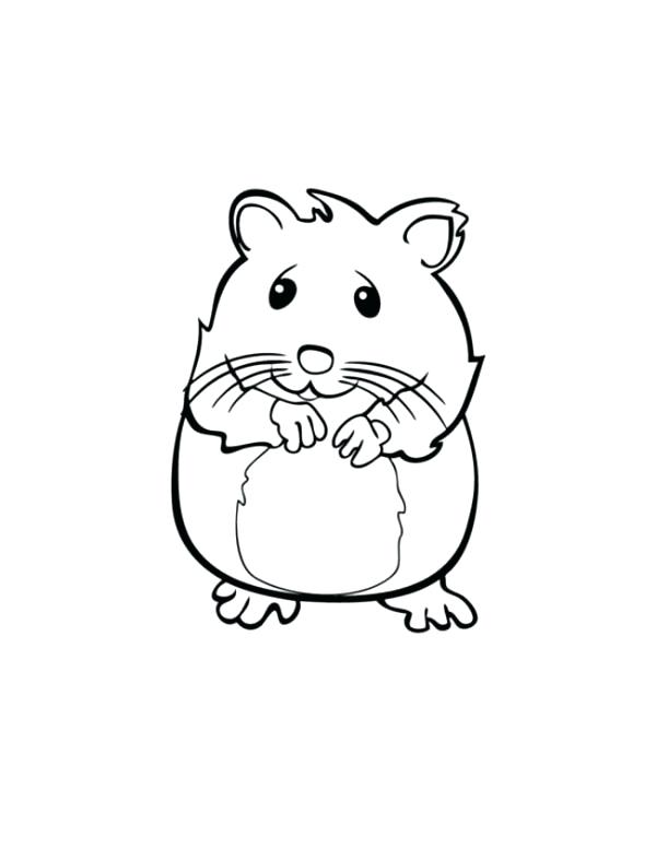 600x776 Humphrey Hamster Coloring Pages New Gerbil For Twin Squeaks May 06