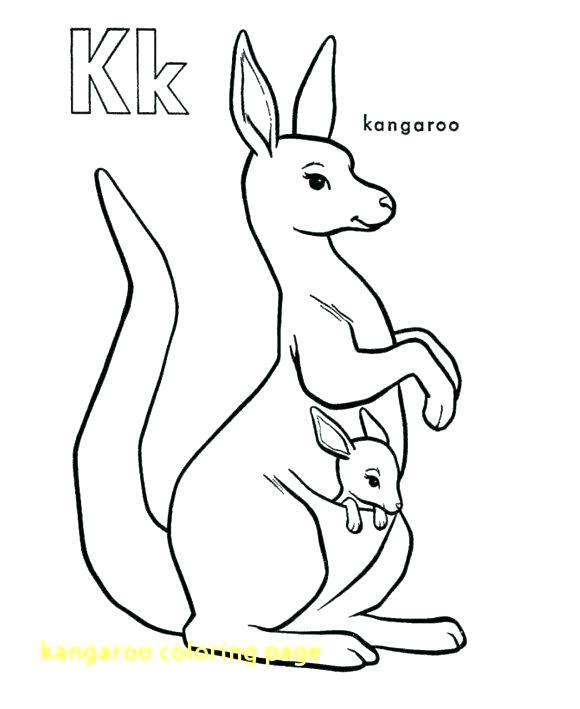 580x709 Contemporary Gerbil Coloring Pages Illustration