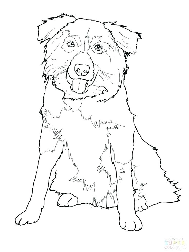 736x981 German Shepherd Coloring Pages Shepherd Coloring Page Shepherd
