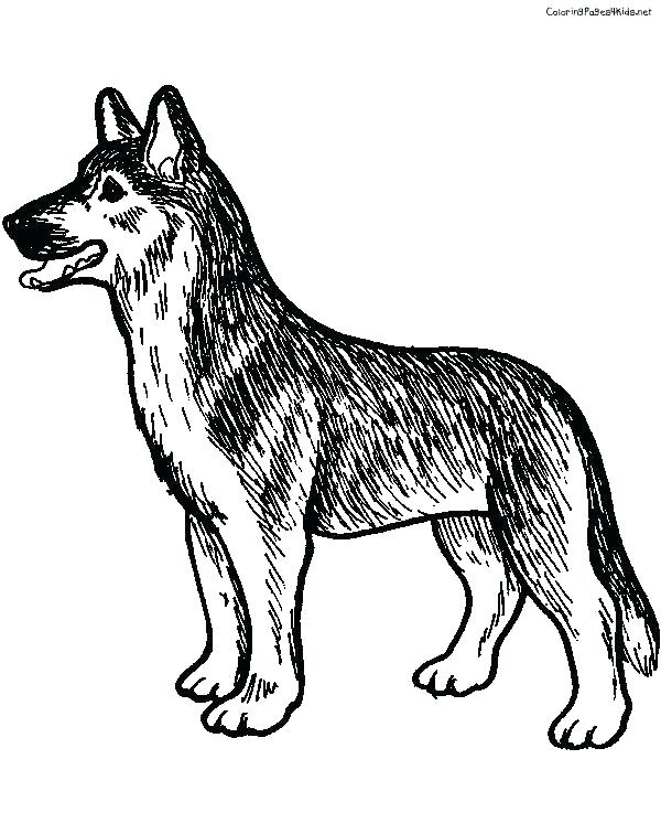 600x756 German Shepherd Coloring Page Shepherd Puppy Coloring Pages Stock