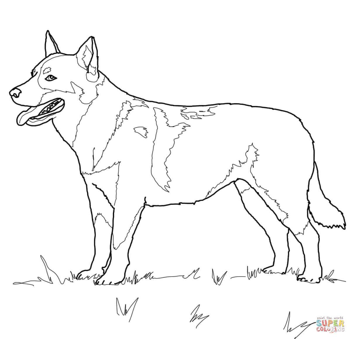 1200x1160 Astonishing Dog Coloring German Shepherd Home Grigorg Pic For Page