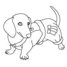 220x220 German Shepherd Puppy Coloring Pages