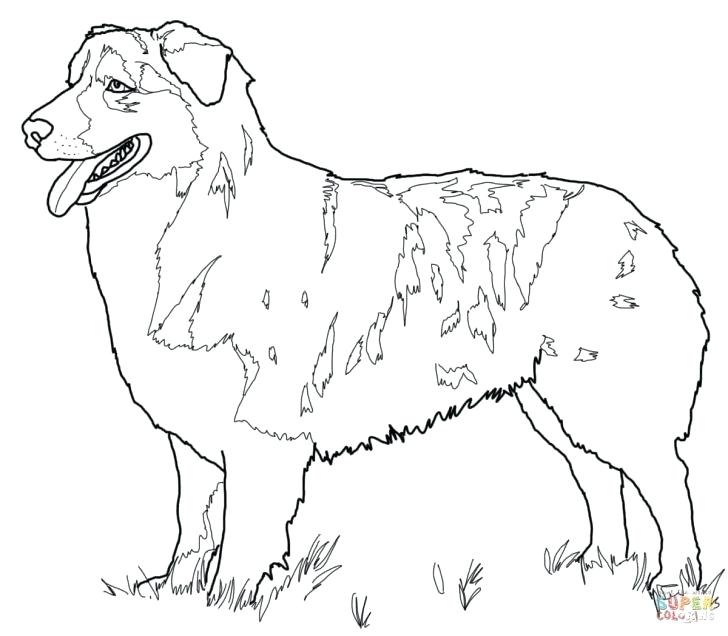 728x636 Realistic German Shepherd Coloring Pages Page Printable Flag Puppy