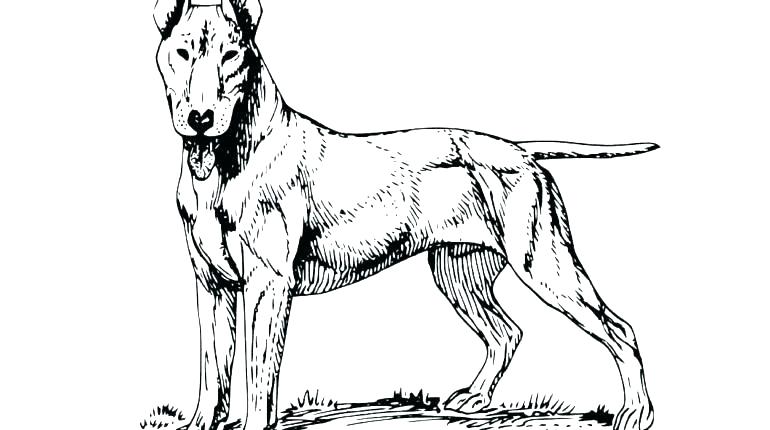 770x430 Shepherd Coloring Pages Shepherd Coloring Page Good Shepherd