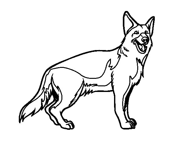 600x470 Coloring Pages Of German Shepherds Free Free Coloring Sheets