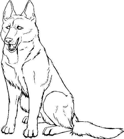 491x550 Printable German Shepherd Dog Coloring Pages Free Image Pug Photos
