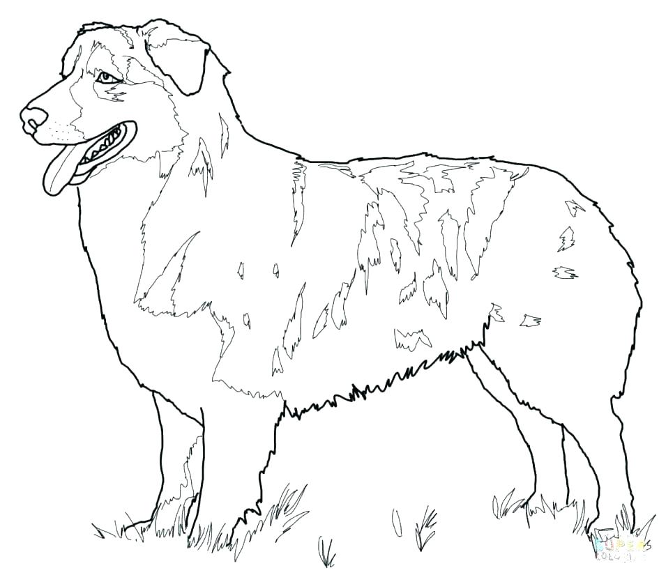 945x825 Shepherd Coloring Pages Cute Shepherd Coloring Pages Shepherd