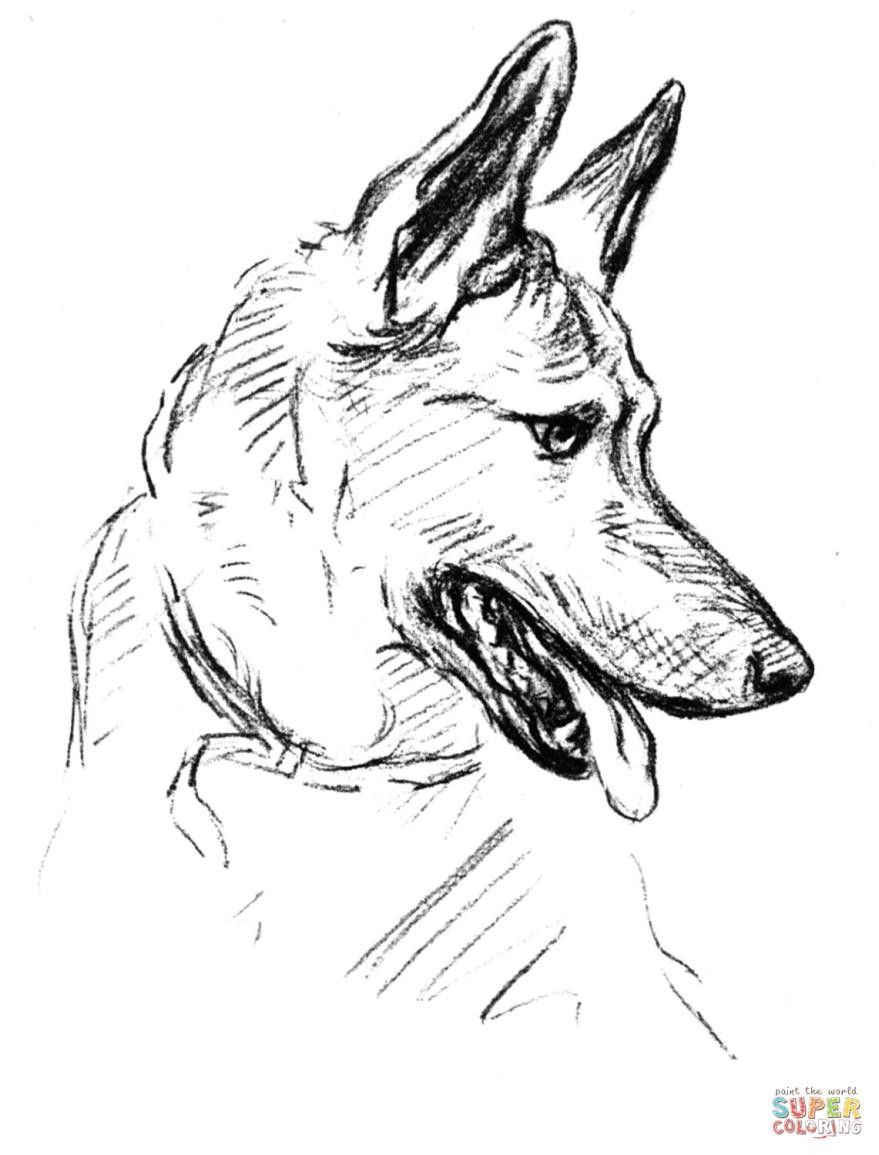 879x1155 Baby German Shepherd Coloring Pages Mrengmeng.link Printable