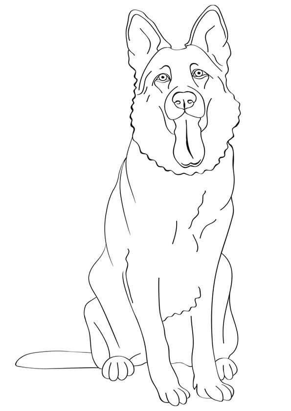 595x842 Free Printable Dogs And Puppies Coloring Pages For Kids German