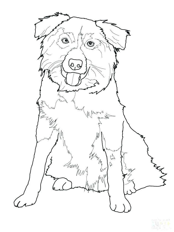 German Shepherd Puppy Coloring Pages