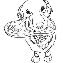 220x220 German Shepherd Puppy Coloring Pages