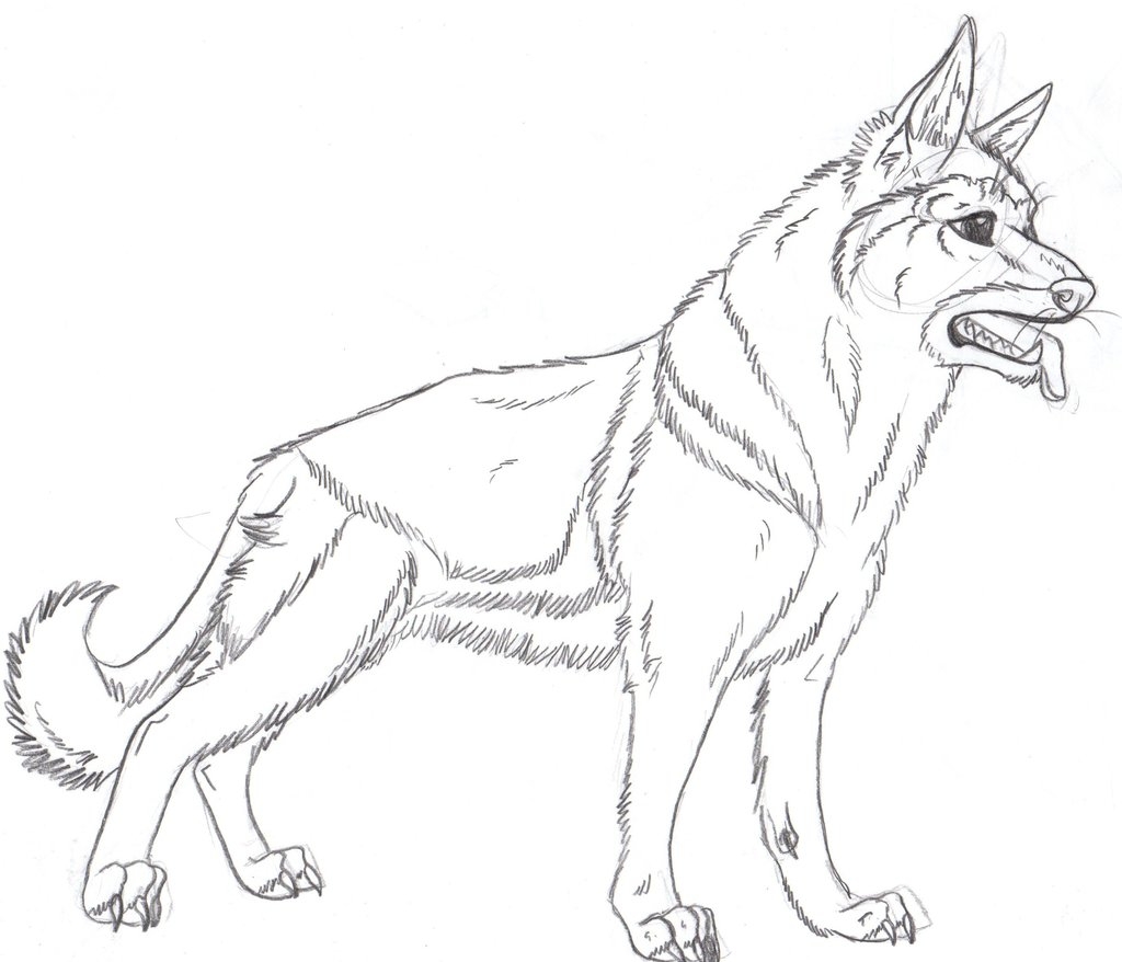 1024x878 Huge Gift German Shepherd Coloring Pages How T