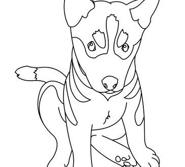 364x329 German Shepherd Coloring Page Puppy Samantha Bell Prixducommerce