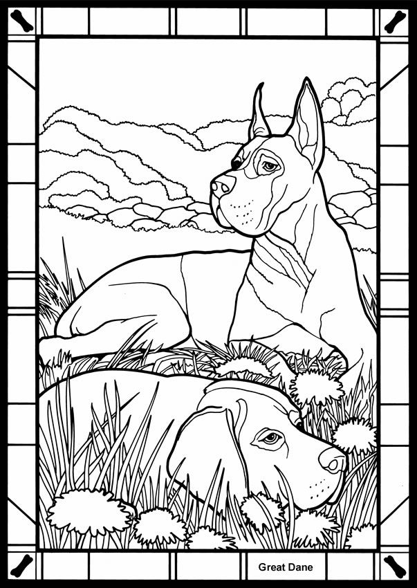 German Shorthaired Pointer Coloring Pages