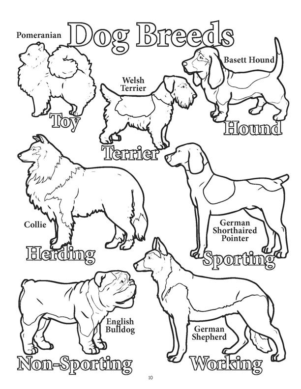 612x792 Coloring Books Dogs And Cats Power Panel