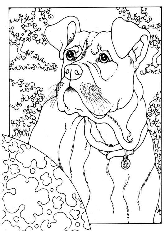 531x750 250 Best Dog Coloring Pages Images On Coloring Books