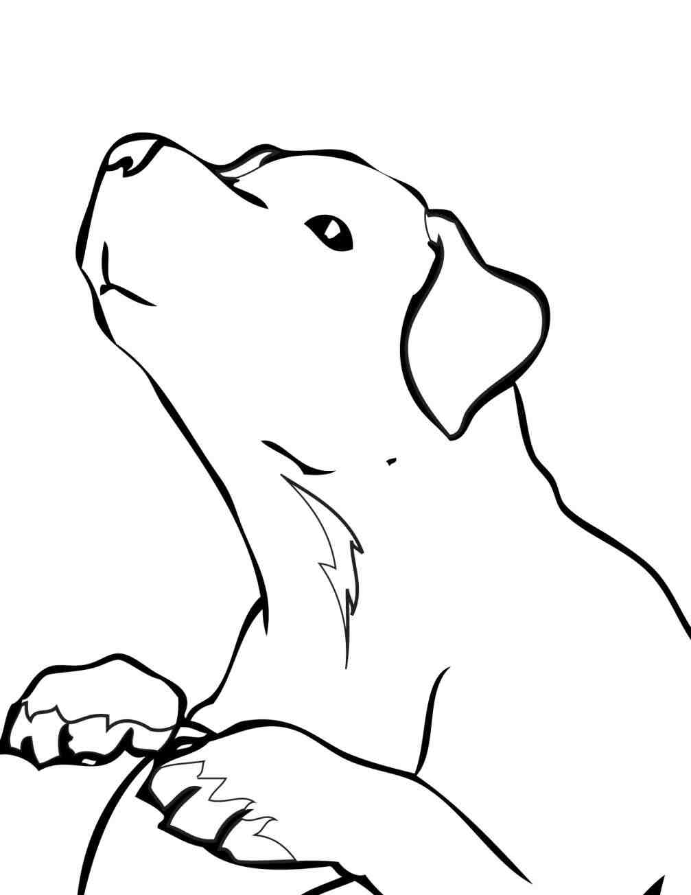 1007x1304 Ok Pictures Page Of A Kids Pug For Kids Lab Puppy Coloring Pages