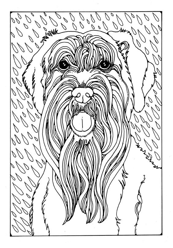 564x808 260 Best Just Dogs Images On Colouring Pages, Coloring