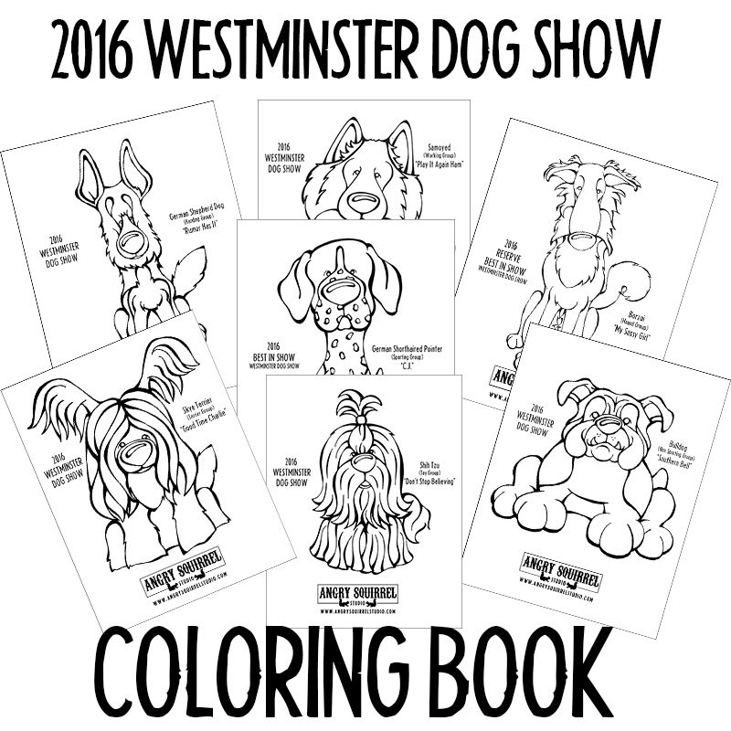 800x800 Pin By Angry Squirrel Studio On Westminster Kennel Club Dog Show